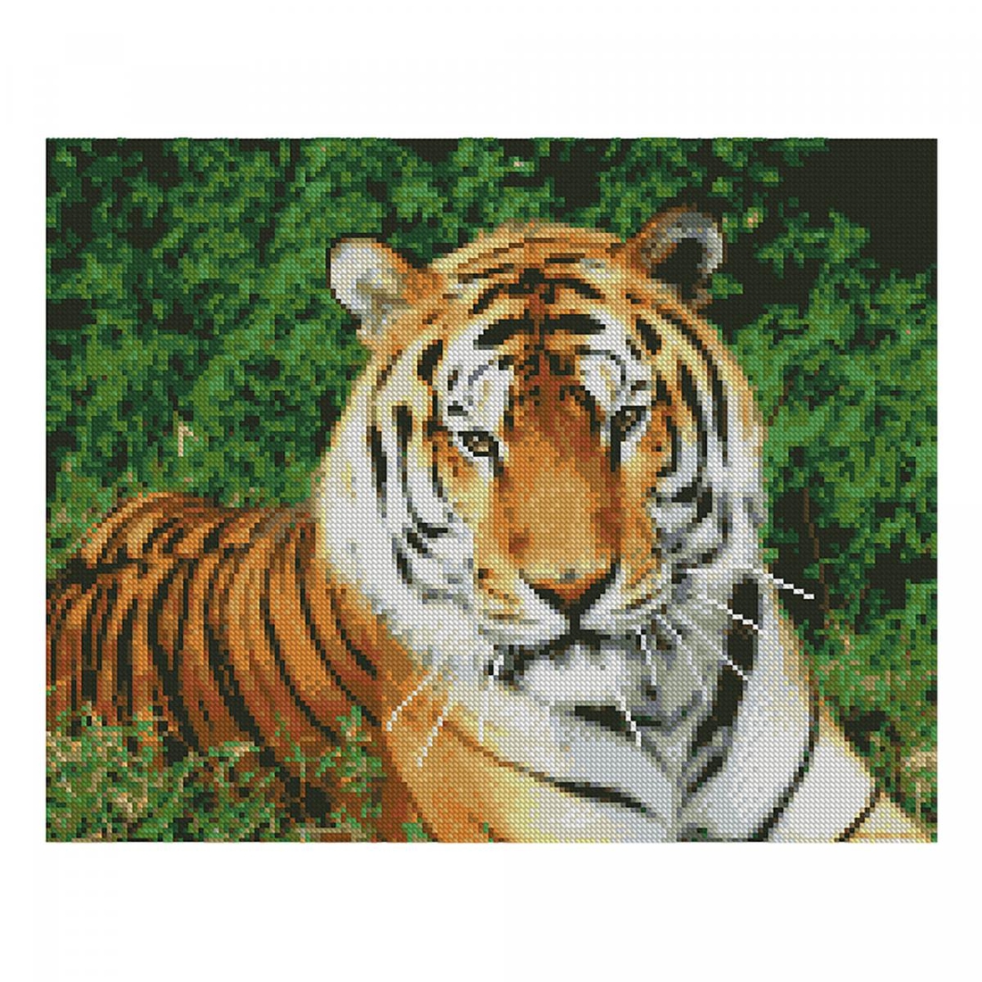 Фото Алмазна картина FA10046 «Погляд тигра», розміром 40х50 см (4823113800086)