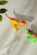Іграшкові фігурки Динозаври KL-5 Різнокольоровий (2000989951636) Фото 3 з 5