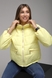 Куртка жіноча 6339 M Жовтий (2000989388470D) Фото 1 з 11