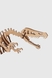 Механічні пазли Спинозавр ANT Gear 00037 (4823141700037) Фото 5 з 7