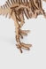 Механічні пазли Спинозавр ANT Gear 00037 (4823141700037) Фото 6 з 7