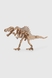 Механічні пазли Спинозавр ANT Gear 00037 (4823141700037) Фото 3 з 7
