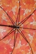 Зонт женский R83143 Оранжевый (2000902619131A) Фото 3 из 4