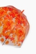 Зонт женский R83143 Оранжевый (2000902619131A) Фото 2 из 4