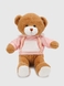 М'яка іграшка Ведмедик JRK122456 Коричнево-рожевий (2000990541901) Фото 2 з 3