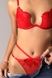 Комплект женский WeiyeSi 2188 75B Красный (2000989463429A) Фото 1 из 12