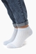 Шкарпетки жіночі C1212-5 36-41 Білий (2000989476788S) Фото 1 з 2