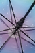 Зонтик RH 5250025 Фиолетовый (2000989165385A) Фото 3 из 5