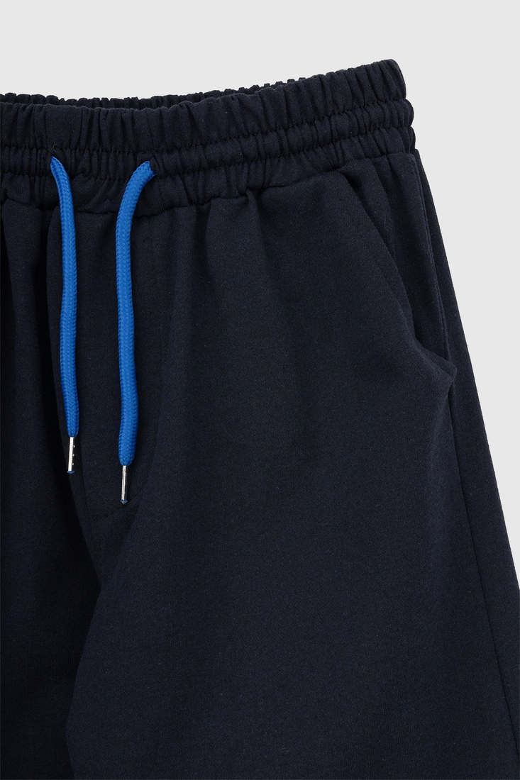 Фото Спортивні штани з принтом для хлопчика Pitiki 228-13-1 170 см Синій (2000990094490D)