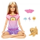Кукла Barbie "Медитация днем и ночью" HHX64 Разноцветный (194735079063) Фото 1 из 2