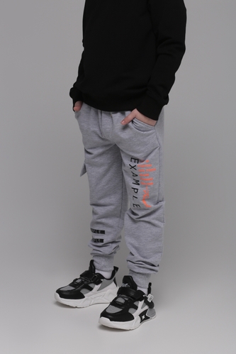 Фото Спортивні штани для хлопчика з принтом Pitiki 1003-2 152 см Світло-сірий (2000989523581D)