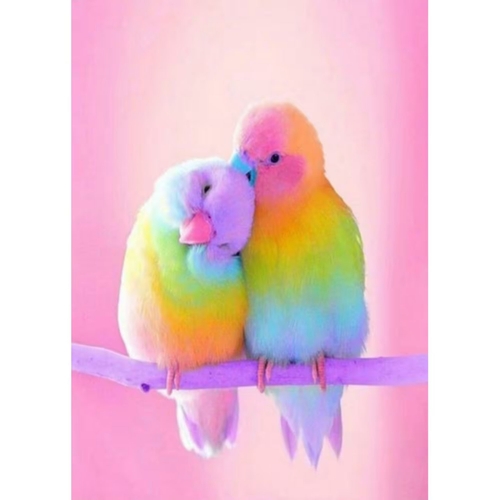 Фото Набор для творчества алмазная картина Милые попугаи Strateg GD76114 (4823113868574)