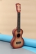 Гітара в чохлі MeiLiang B-83C-1 Коричневий (6952004843821) Фото 2 з 6