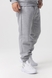 Спортивные штаны мужские Demos DMS-035 baza 2XL Серый (2000990059130W) Фото 2 из 12