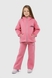 Спортивный костюм (худи, штаны) для девочки Ecrin 4610 128 см Розовый (2000990093349W) Фото 1 из 26