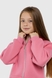 Спортивный костюм (худи, штаны) для девочки Ecrin 4610 128 см Розовый (2000990093349W) Фото 4 из 26