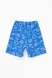 Пижама для мальчика Kilic BL-3 8-9 лет Синий (2000989739692S) Фото 9 из 9