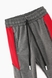 Спортивные штаны Atescan 2114 110 Серый (2000904601936D) Фото 2 из 6