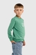 Свитшот с принтом для мальчика Baby Show 13055 98 см Зеленый (2000990003874D)