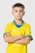 Футбольная форма для мальчика BLD UKRAINE 116 см Желтый (2000990313096A) Фото 8 из 25