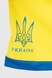 Футбольна форма для хлопчика BLD UKRAINE 122 см Жовтий (2000990313102A) Фото 23 з 25