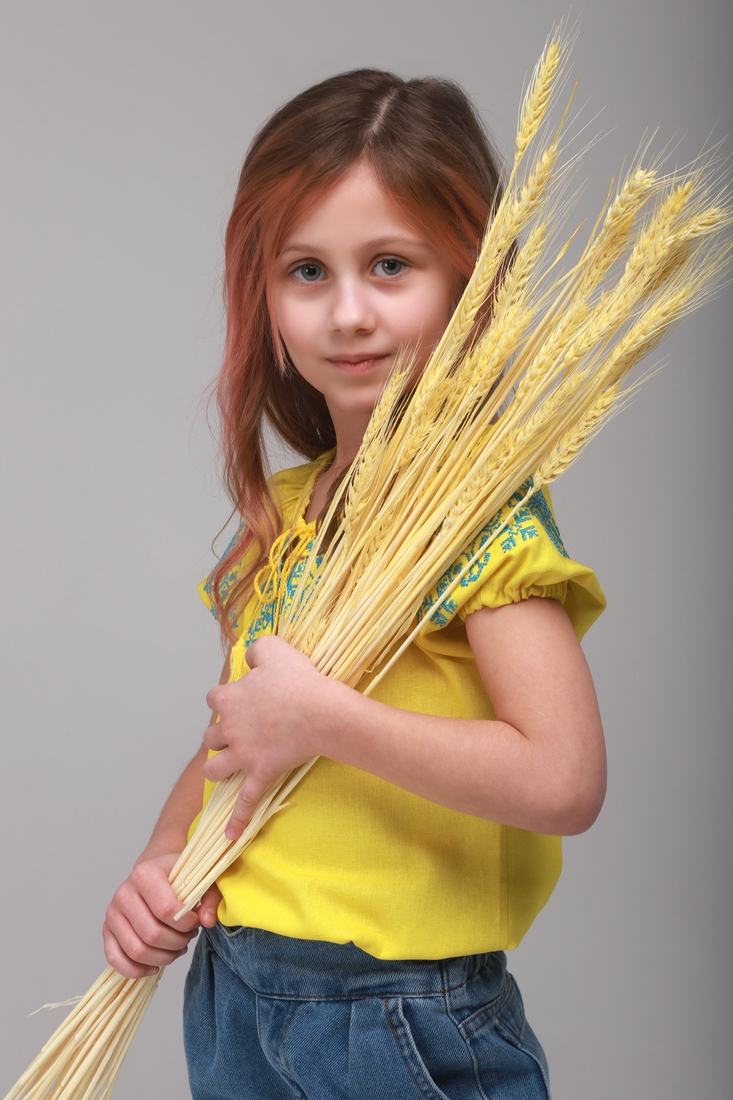 Фото Сорочка вишиванка для дівчинки КОЗАЧЕК ОЛЬГА 110 см Жовто- блакитний (2000989763888S)