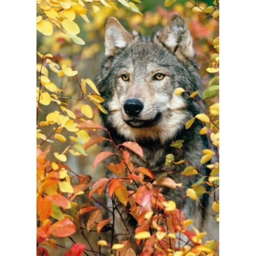Фото Набор для творчества алмазная картина Волк в лесу Strateg GD86088 (4823113868536)