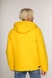 Куртка 8491 M Желтый (2000903944027D) Фото 2 из 5
