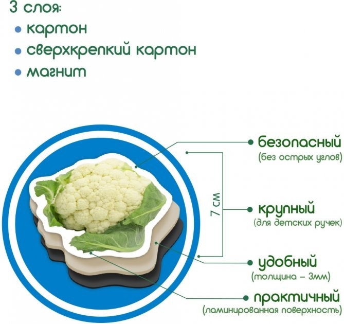 Фото Набор магнитов "Овощи" ML4031-12 EN (4820215152600)