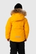 Комбинезон для мальчика T-938 куртка + штаны на шлейках 122 см Желтый (2000989625254W) Фото 9 из 31