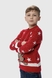 Свитер для мальчика Cilivili 6634 140 см Красный (2000990166340W)(NY)(SN) Фото 3 из 17