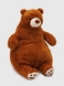 М'яка іграшка Ведмідь JieRongMaoRong JR81911 Різнокольоровий (2002015491277) Фото 1 з 3