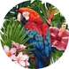 Набор для росписи по номерам. "Яркий попугай" KHO-R1004 39 см (4823104349259) Фото 1 из 2