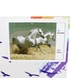 Набор для творчества Babylon DIY живопись по номерам Белые лошади (2000903603702) Фото 1 из 6