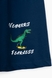 Костюм футболка+шорти для хлопчика Hees HS-78 134 см Помаранчевий (2000989700722S) Фото 16 з 17