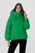 Куртка зимова жіноча Kings Wind HM36 50 Зелений (2000990090997W) Фото 1 з 17