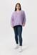 Пуловер однотонний жіночий Park karon 5857 One Size Бузковий (2000990151612W) Фото 1 з 11