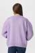 Пуловер однотонний жіночий Park karon 5857 One Size Бузковий (2000990151612W) Фото 6 з 11