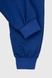 Спортивні штани з принтом для хлопчика Atescan 804 104 см Електрік (2000990131362D) Фото 3 з 5