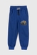 Спортивні штани з принтом для хлопчика Atescan 804 104 см Електрік (2000990131362D) Фото 1 з 5
