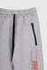 Спортивні штани з принтом для хлопчика Pitiki 009769 134 см Сірий (2000990045522D) Фото 10 з 12