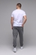 Спортивні штани чоловічі прямі Tommy life 84679-B 52 Сірий (2000989488712D) Фото 5 з 12