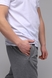 Спортивні штани чоловічі прямі Tommy life 84679-B 52 Сірий (2000989488712D) Фото 2 з 12