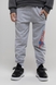 Спортивні штани з принтом для хлопчика Pitiki 009769 134 см Сірий (2000990045522D) Фото 1 з 12