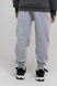 Спортивні штани з принтом для хлопчика Pitiki 009769 134 см Сірий (2000990045522D) Фото 4 з 12