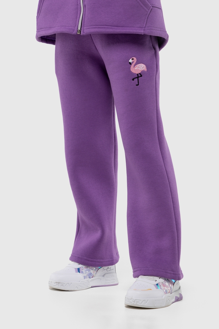 Фото Спортивный костюм (худи, штаны) для девочки Ecrin 4610 110 см Фиолетовый (2000990093363W)