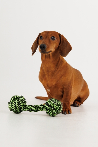 Іграшка канат з двома вузлами для собак KUMAOCHONGWUYONGPIN KM52660 Салатовий (2000990382832)