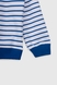 Костюм (реглан+штани) для дівчинки Viollen 2183 152 см Синій (2000989927402D) Фото 13 з 20