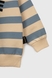 Костюм (свитшот+штаны) для мальчика Baby Show 1044 104 см Голубой (2000990338341D) Фото 4 из 15