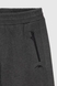 Спортивні штани чоловічі Maraton 17933 2XL Сірий (2000990204950W) Фото 9 з 14